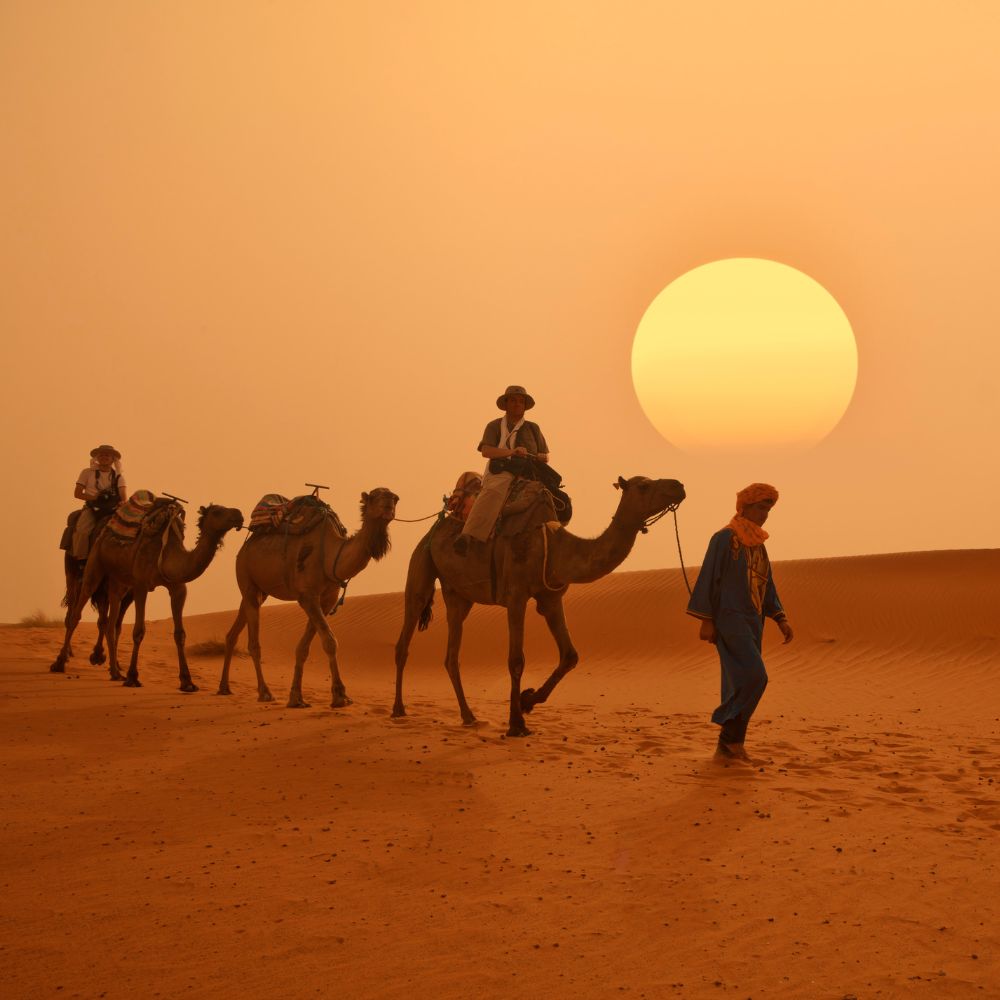 Visit Morocco and book your stay