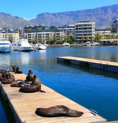 hotels in Cape Town South Africa