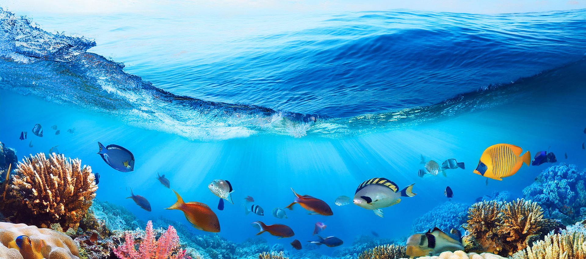 All about SA Travel Bookings